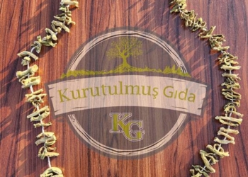 Fasulye Kurusu İpte