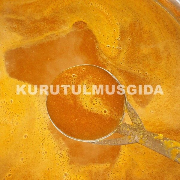 Kayısı Konsantresi