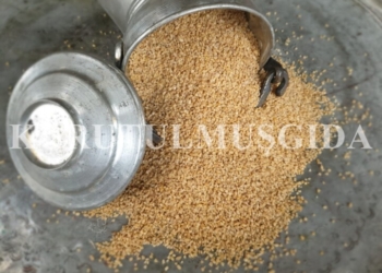 Bulgur 1 KG