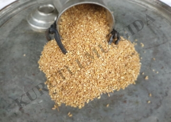Aşurelik Buğday 1 KG