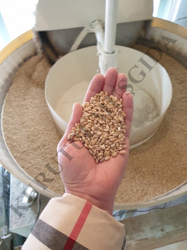 Aşurelik Buğday 1 KG - Görsel 3