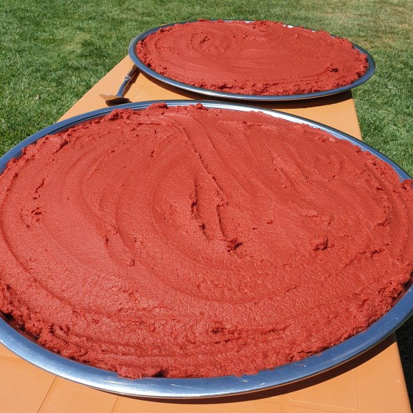 Domates Salçası 1 KG - Görsel 4