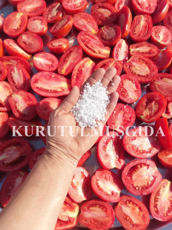 Domates Kurusu 500 GR - Görsel 3