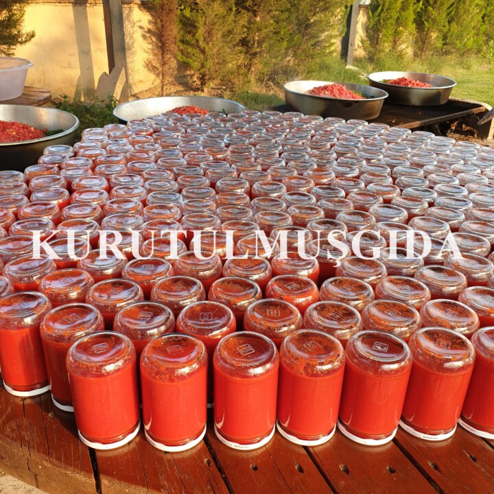 kapyali domates sosu kurutulmus gida