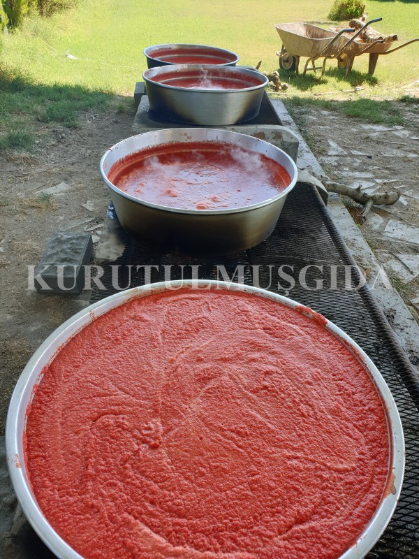Kapyalı Domates Sosu - Görsel 2