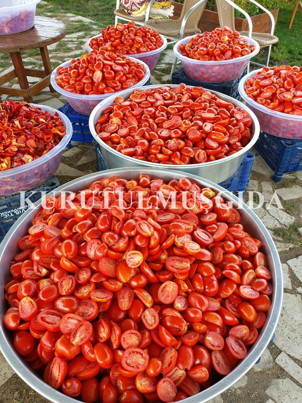 Kapyalı Domates Sosu - Görsel 3