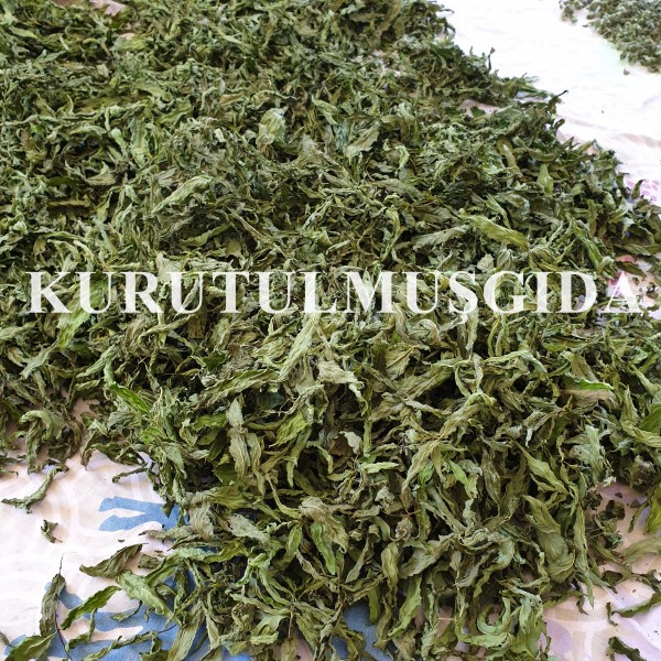 Nane Kurusu 250 GR - Görsel 4