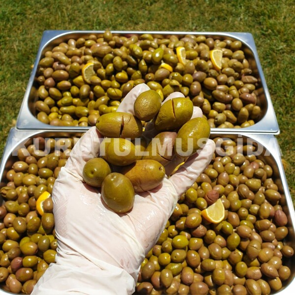 Yeşil Zeytin - Görsel 3
