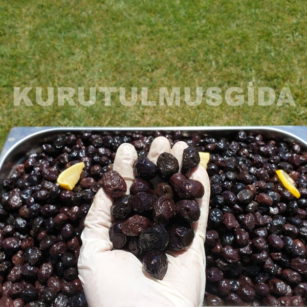 Siyah Zeytin - Görsel 3