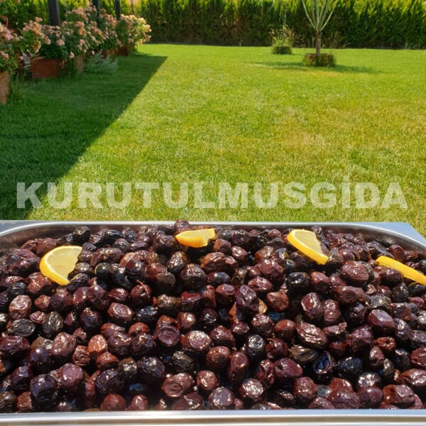 Siyah Zeytin - Görsel 4