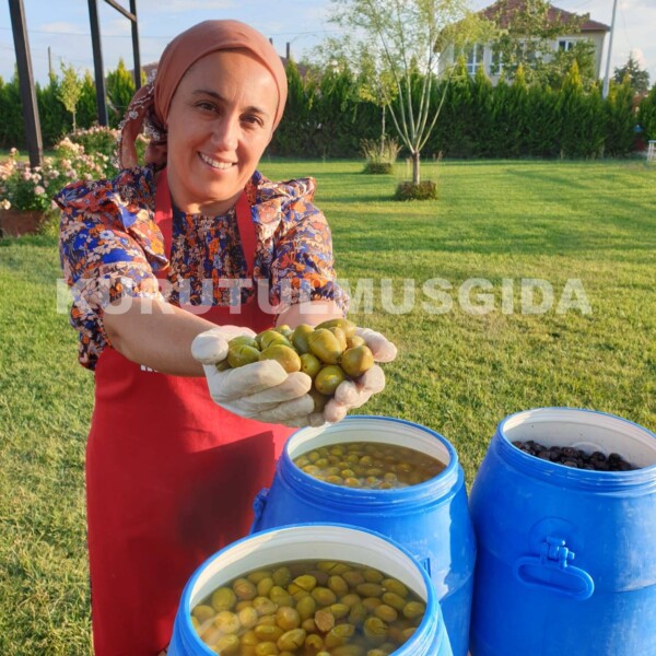 Yeşil Zeytin - Görsel 4