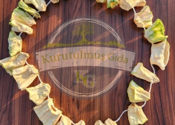 Dolmalık Kabak Kurusu