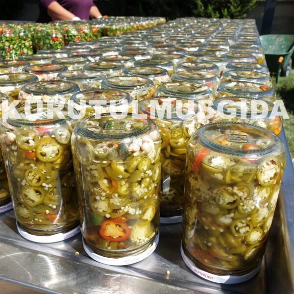Jalapeno Acı Biber Turşusu