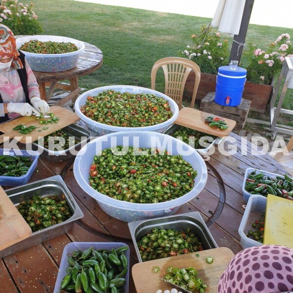 Jalapeno Acı Biber Turşusu - Görsel 4