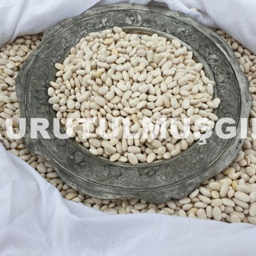 Kuru Fasulye 1 KG