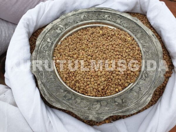 Yeşil Mercimek 1 KG - Görsel 2