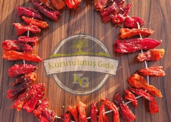 Dolmalık Kapya Biber Kurusu