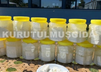 Peynir 1.5 KG