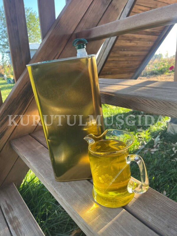 Yeşil Erken Hasat Zeytinyağı 5 L