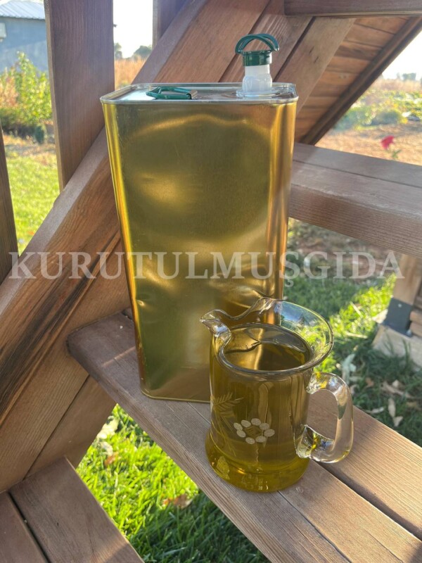 Olgun Hasat Natürel Zeytinyağı 5 L