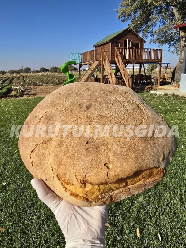 Ekşi Mayalı Köy Ekmeği