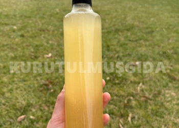 Ananas Sirkesi