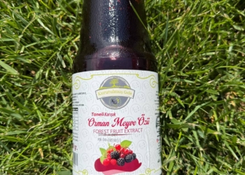 Taneli Karışık Orman Meyve Özü 1400 gr